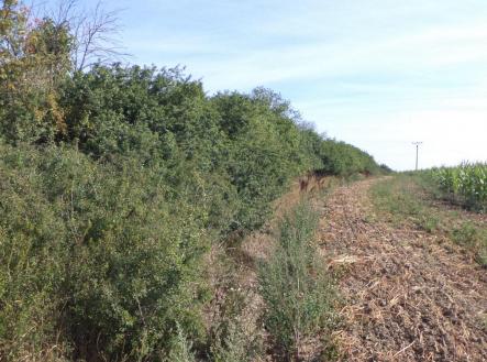 Prodej pozemku, ostatní, 6 167 m²