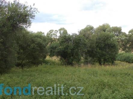 Prodej pozemku, ostatní, 12 065 m²