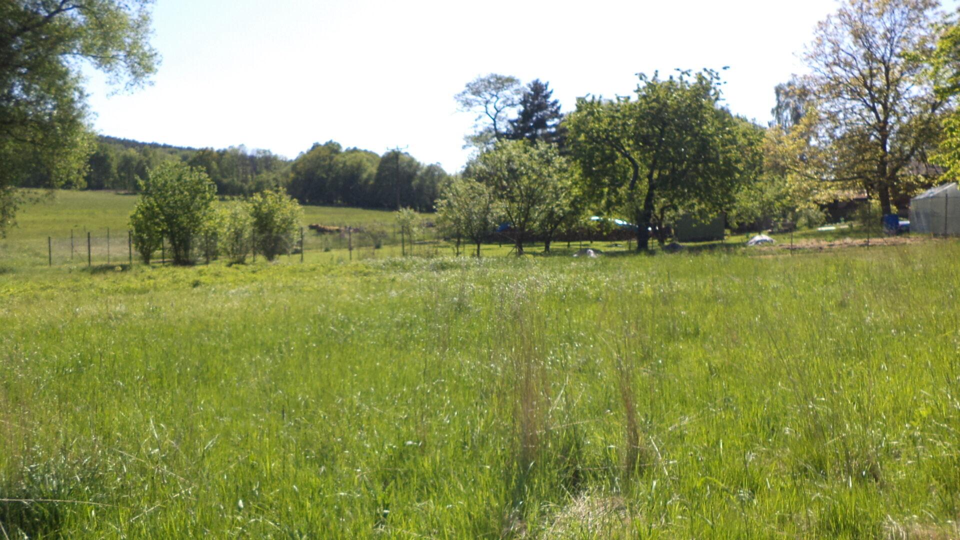 Prodej pozemků Staré Křečany