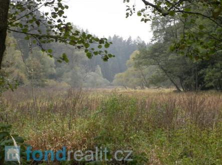 Prodej pozemku, zemědělská půda, 42 411 m²