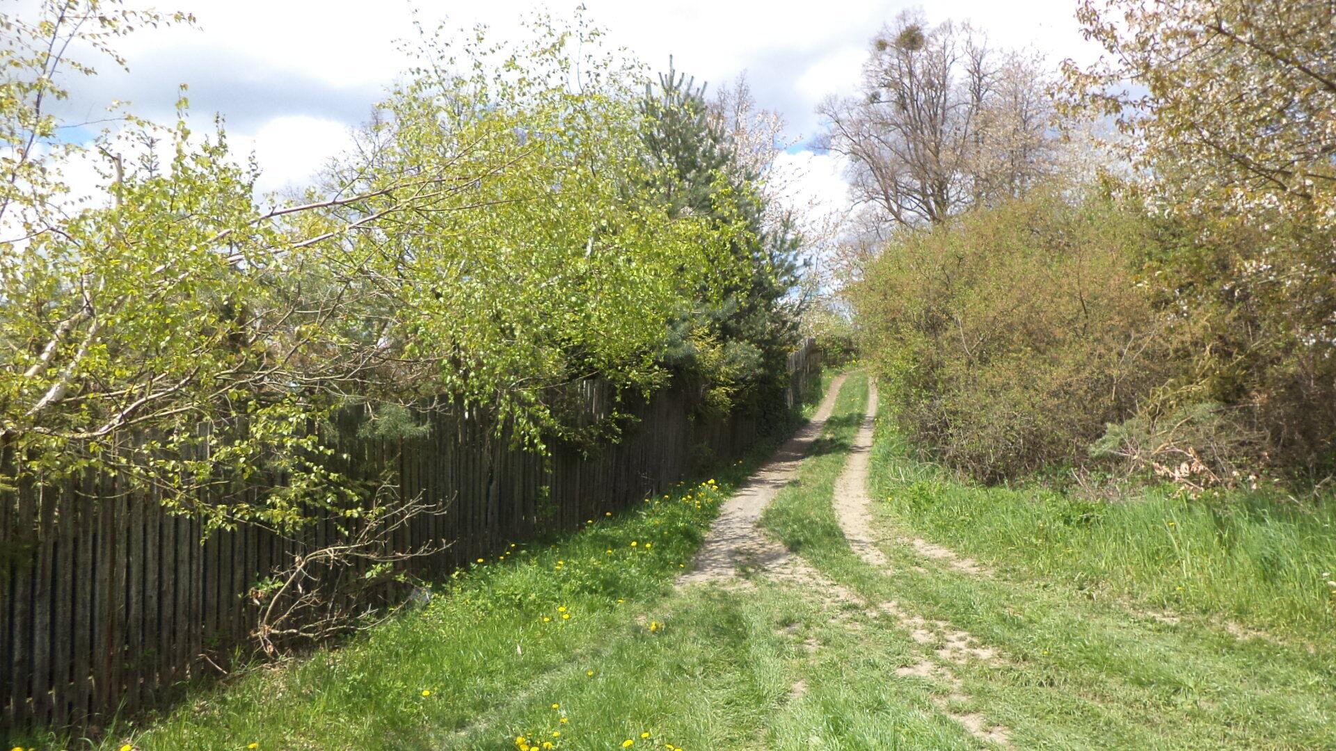 Dražba pozemku Vítkov