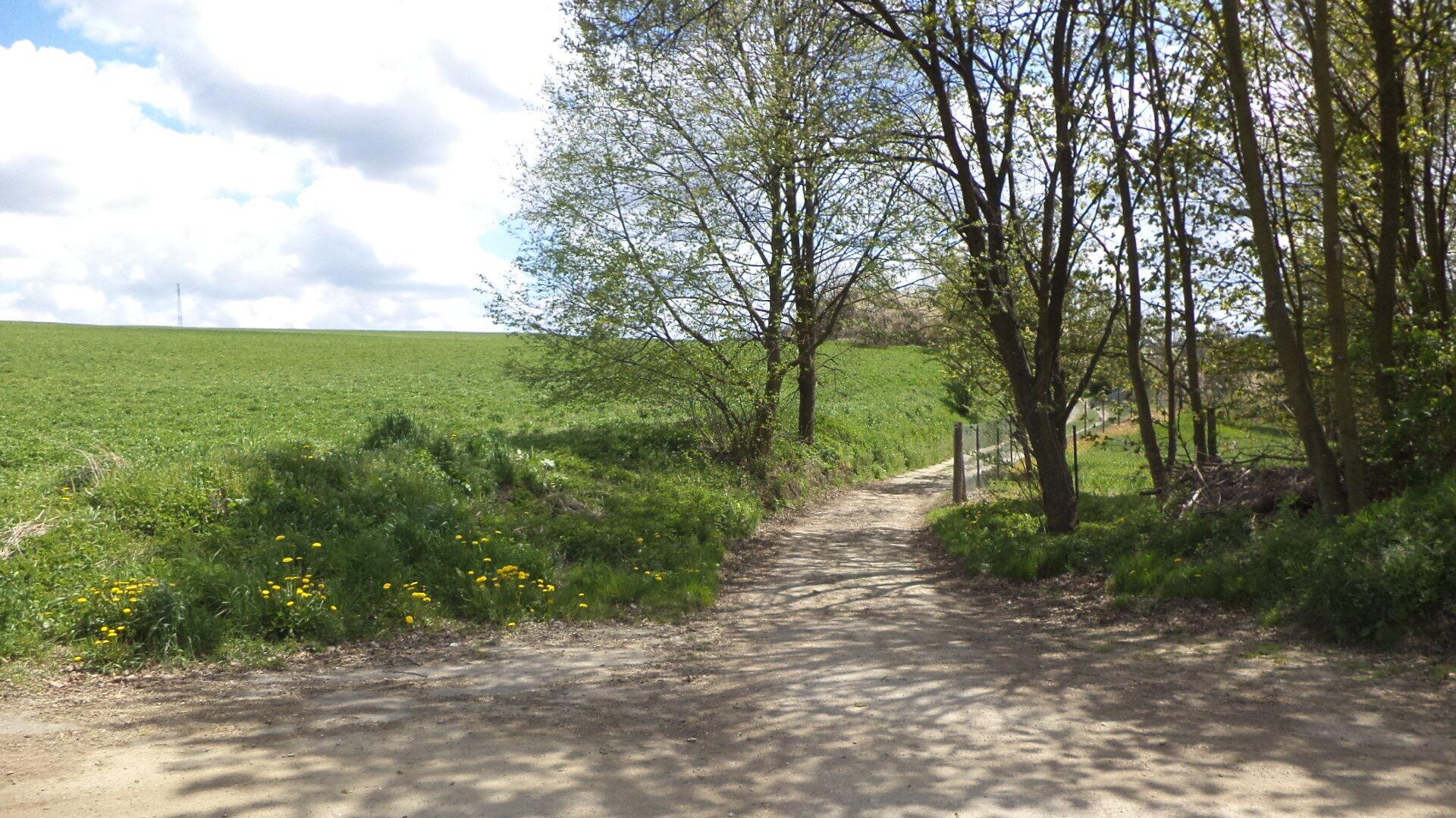 Dražba pozemku Vítkov