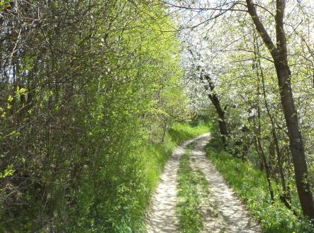 Prodej pozemku, ostatní, 3 225 m²