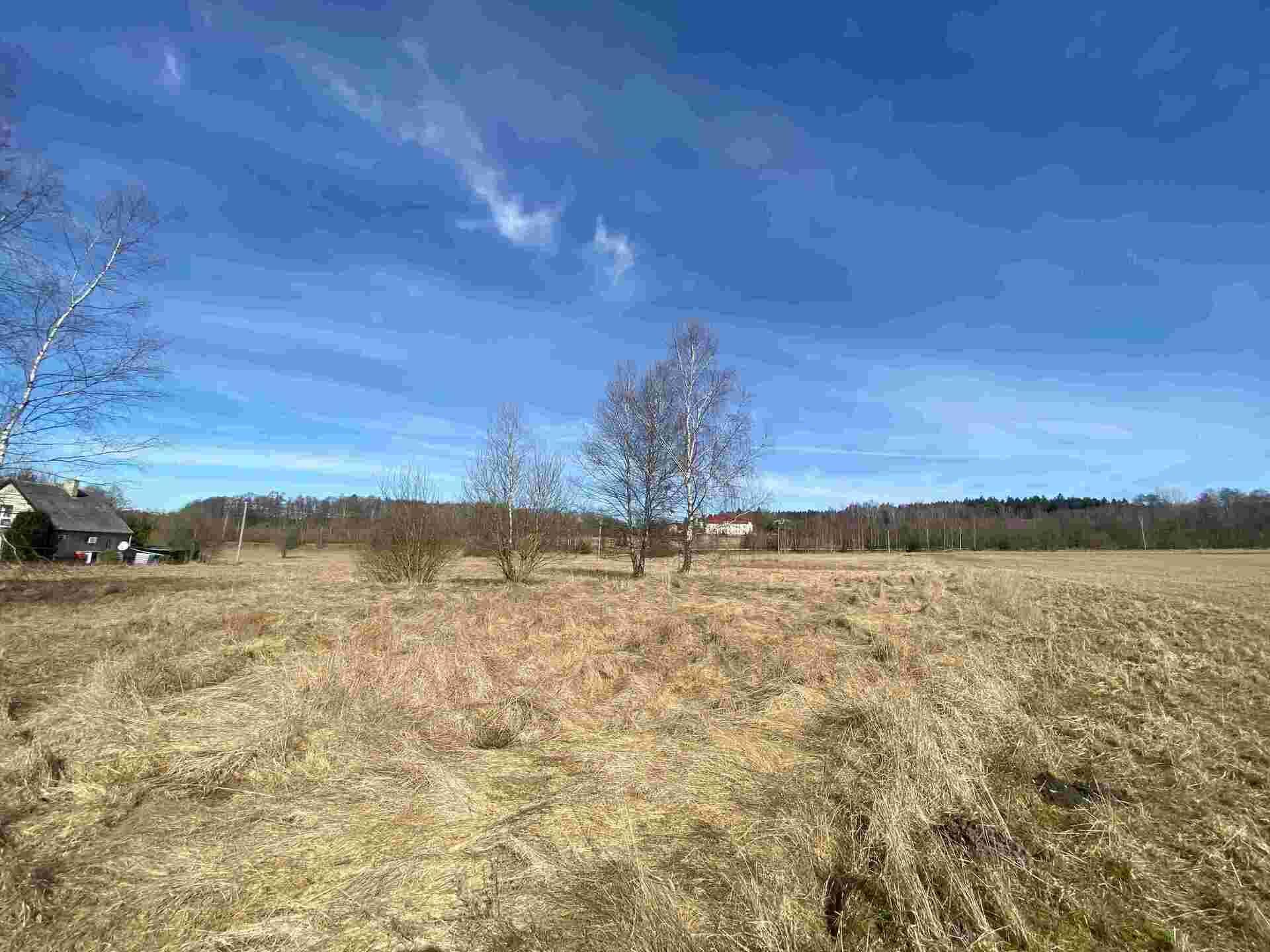 dražba pozemku k.ú. Nový Žďár