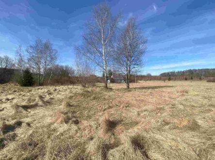 Prodej pozemku, ostatní, 3 300 m²