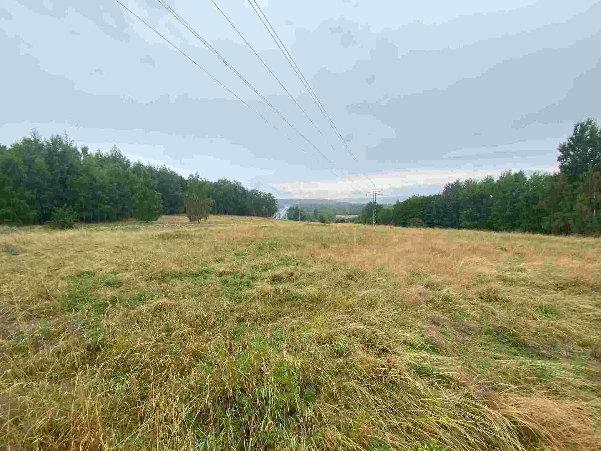 dražba pozemku k.ú. Loučky u Lokte