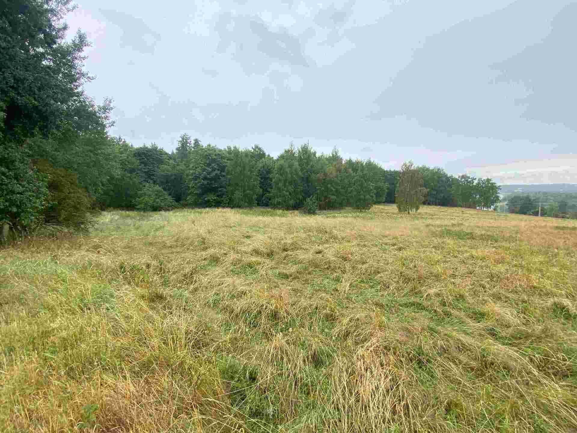 dražba pozemku k.ú. Loučky u Lokte