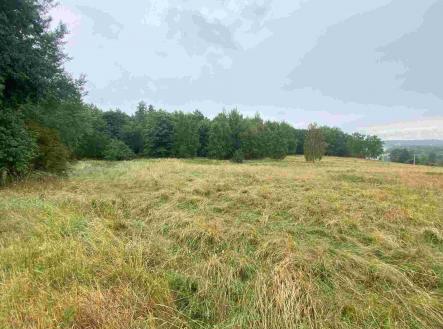 Prodej pozemku, zemědělská půda, 49 321 m²