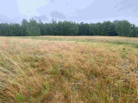 Prodej pozemku, zemědělská půda, 49 321 m²