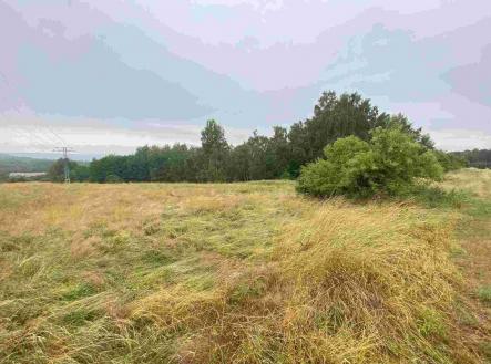 Prodej pozemku, zemědělská půda, 49 321 m²