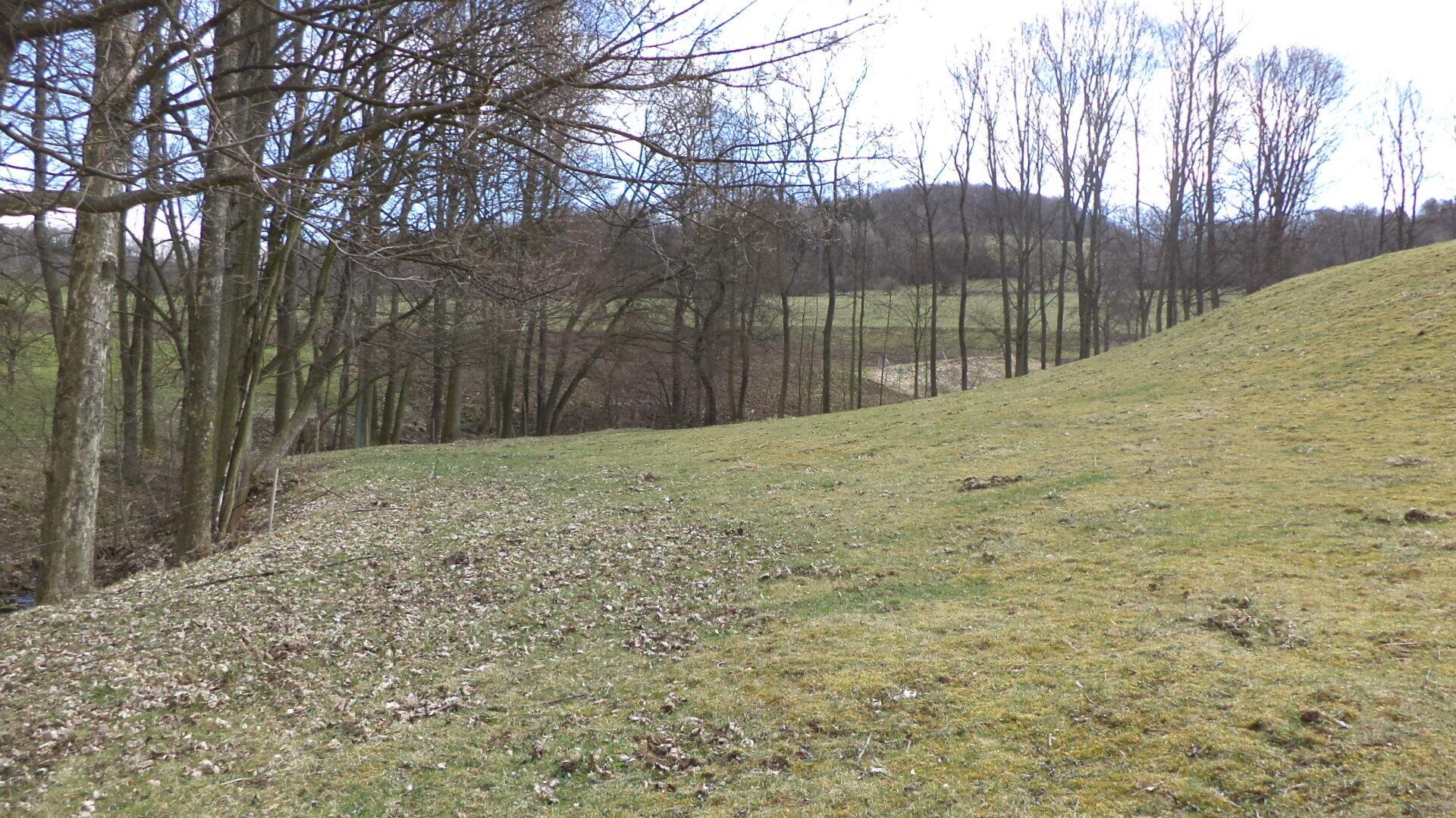 prodej pozemku Fojtovice u Heřmanova