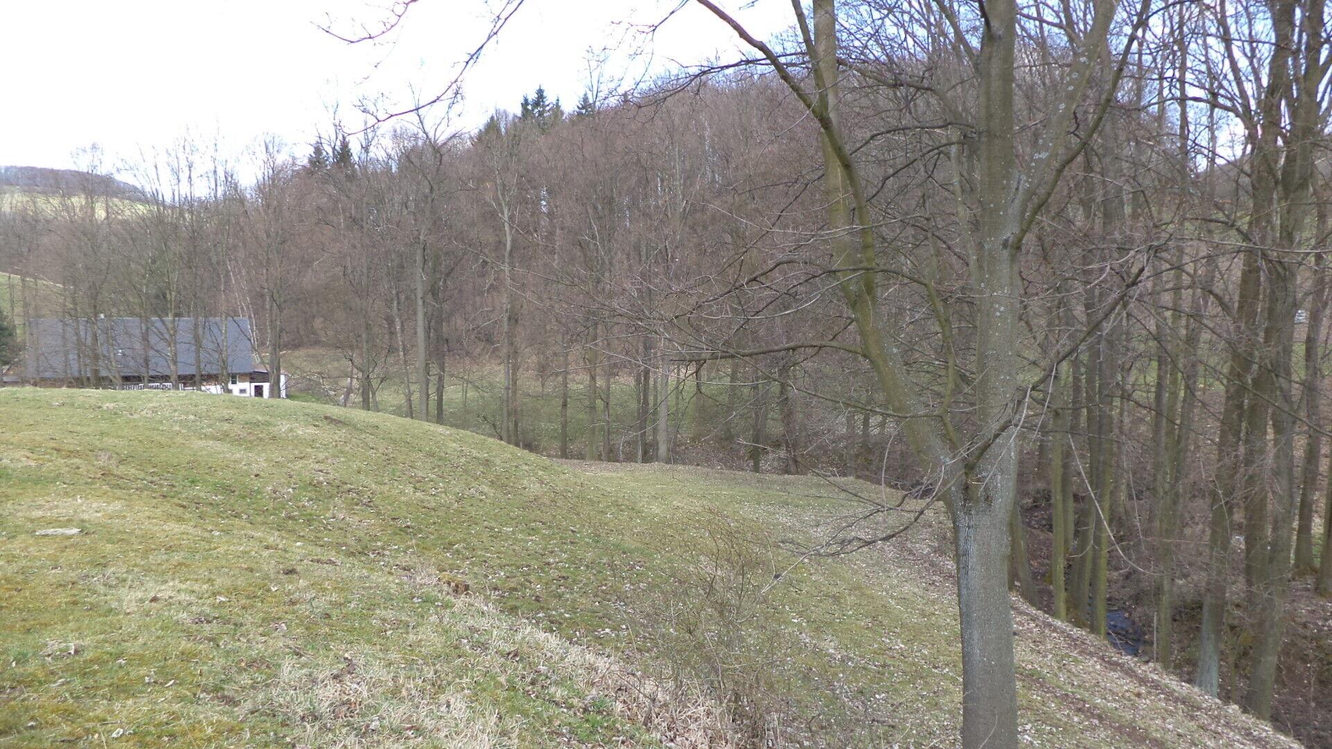 prodej pozemku Fojtovice u Heřmanova