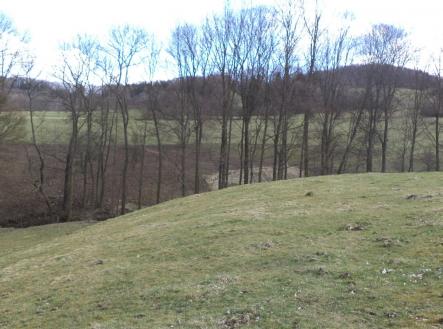 Prodej pozemku, zemědělská půda, 4 633 m²