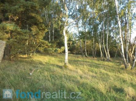 Prodej pozemku, zemědělská půda, 7 261 m²