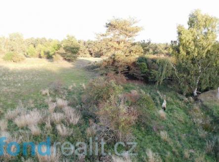 Prodej pozemku, zemědělská půda, 7 261 m²