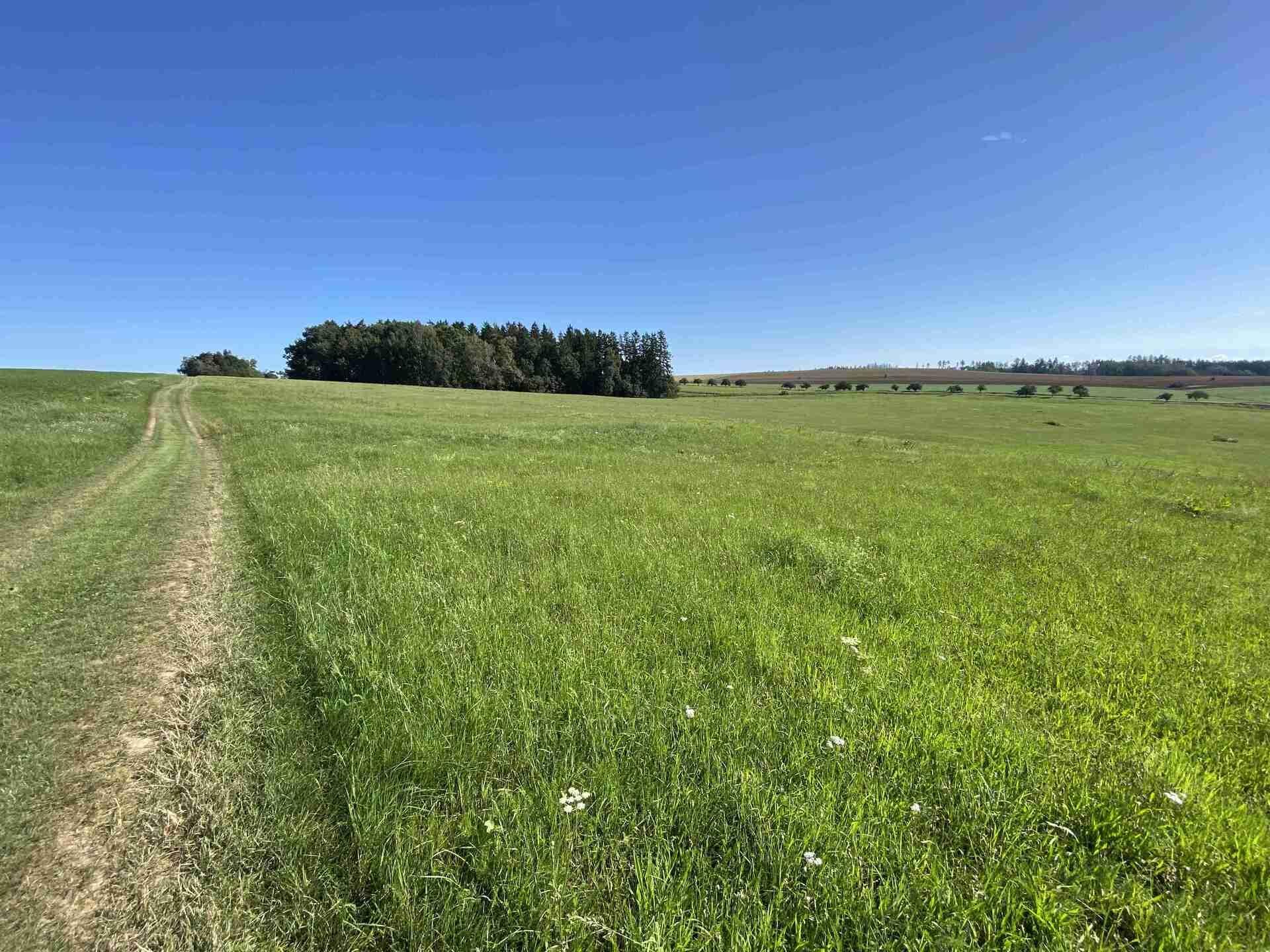 PRODEJ pozemku Křešín u Pacova