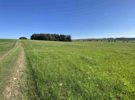 Prodej pozemku, zemědělská půda, 6 536 m²