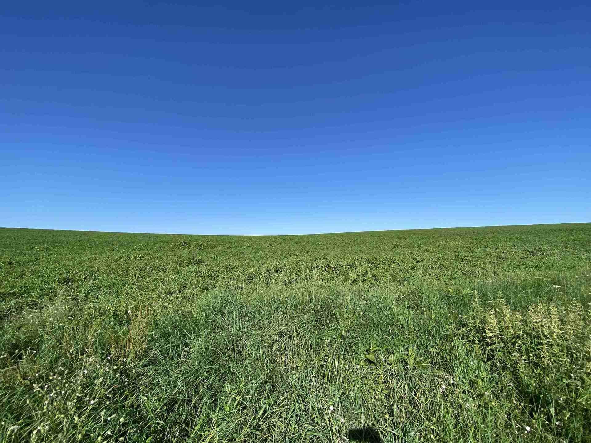 PRODEJ pozemku Křešín u Pacova