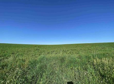 Prodej pozemku, zemědělská půda, 6 536 m²