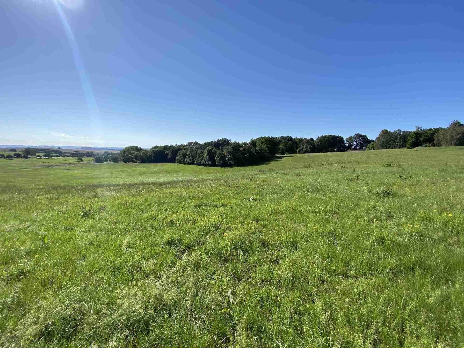 PRODEJ pozemku Křešín u Pacova