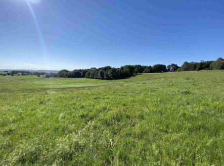 Prodej pozemku, zemědělská půda, 6 536 m²