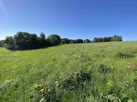 Prodej pozemku, zemědělská půda, 6 536 m²