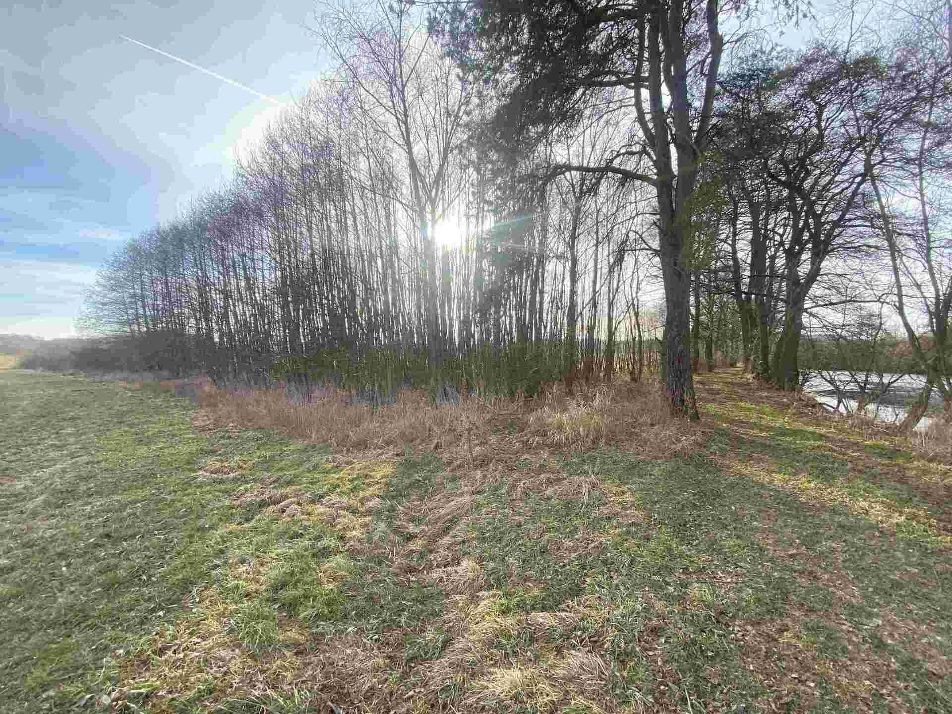 prodej pozemku k.ú. Trstěnice u Mariánských Lázní