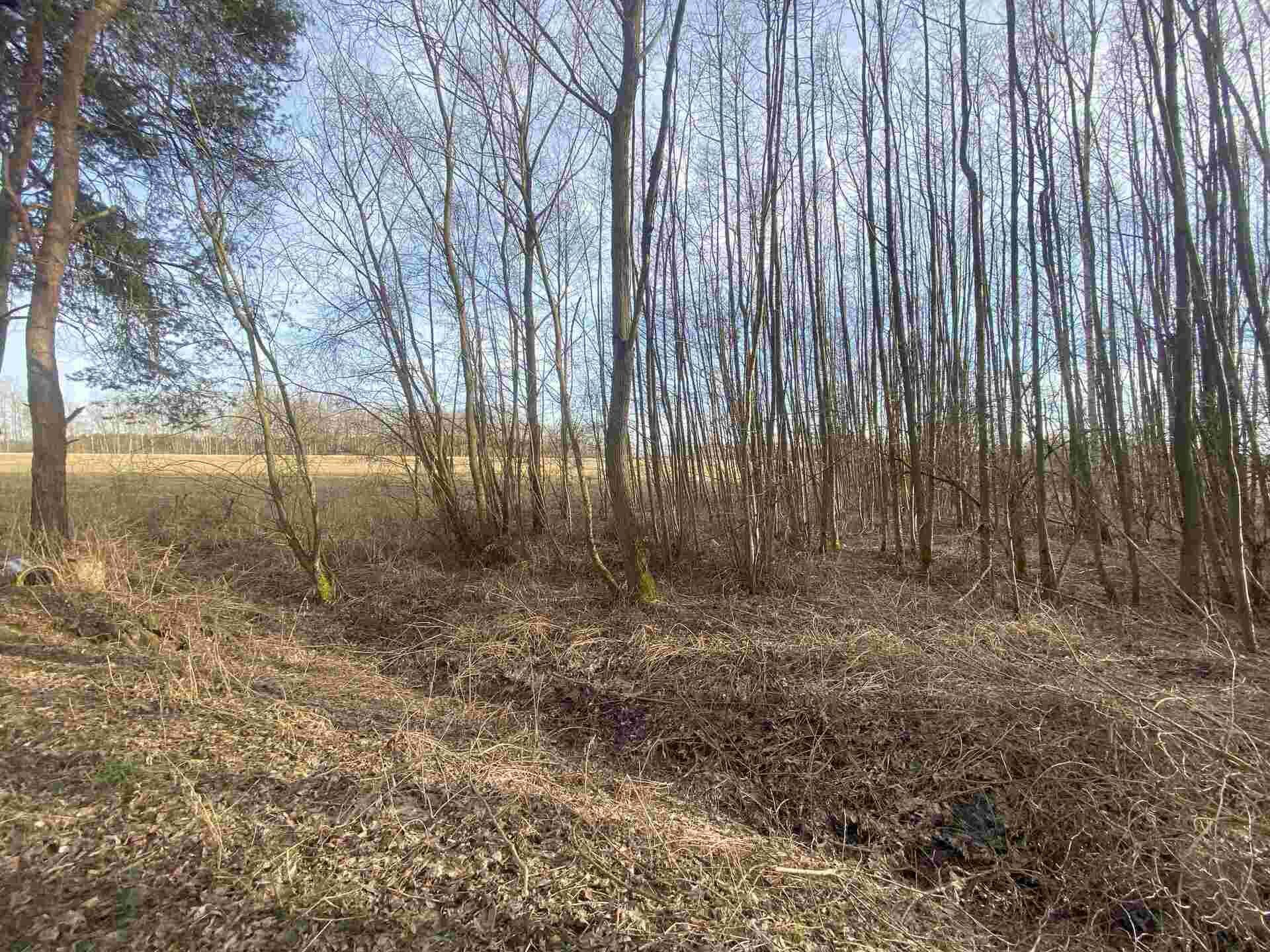 prodej pozemku k.ú. Trstěnice u Mariánských Lázní