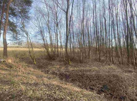 Prodej pozemku, ostatní, 1 109 m²