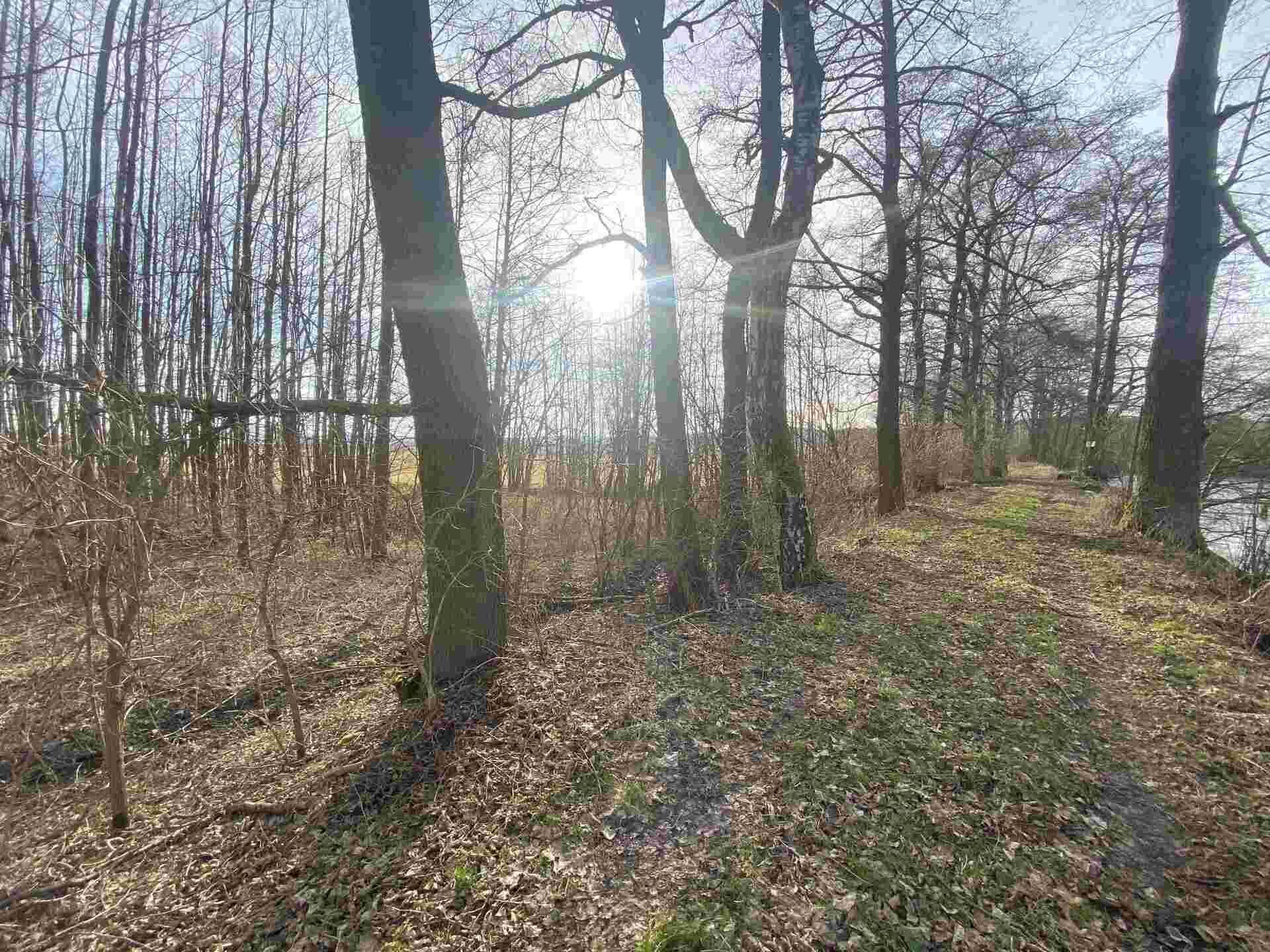 prodej pozemku k.ú. Trstěnice u Mariánských Lázní