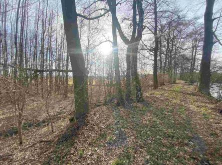 Prodej pozemku, ostatní, 1 109 m²