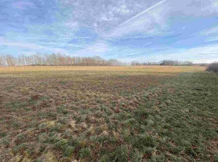 Prodej pozemku, ostatní, 1 109 m²