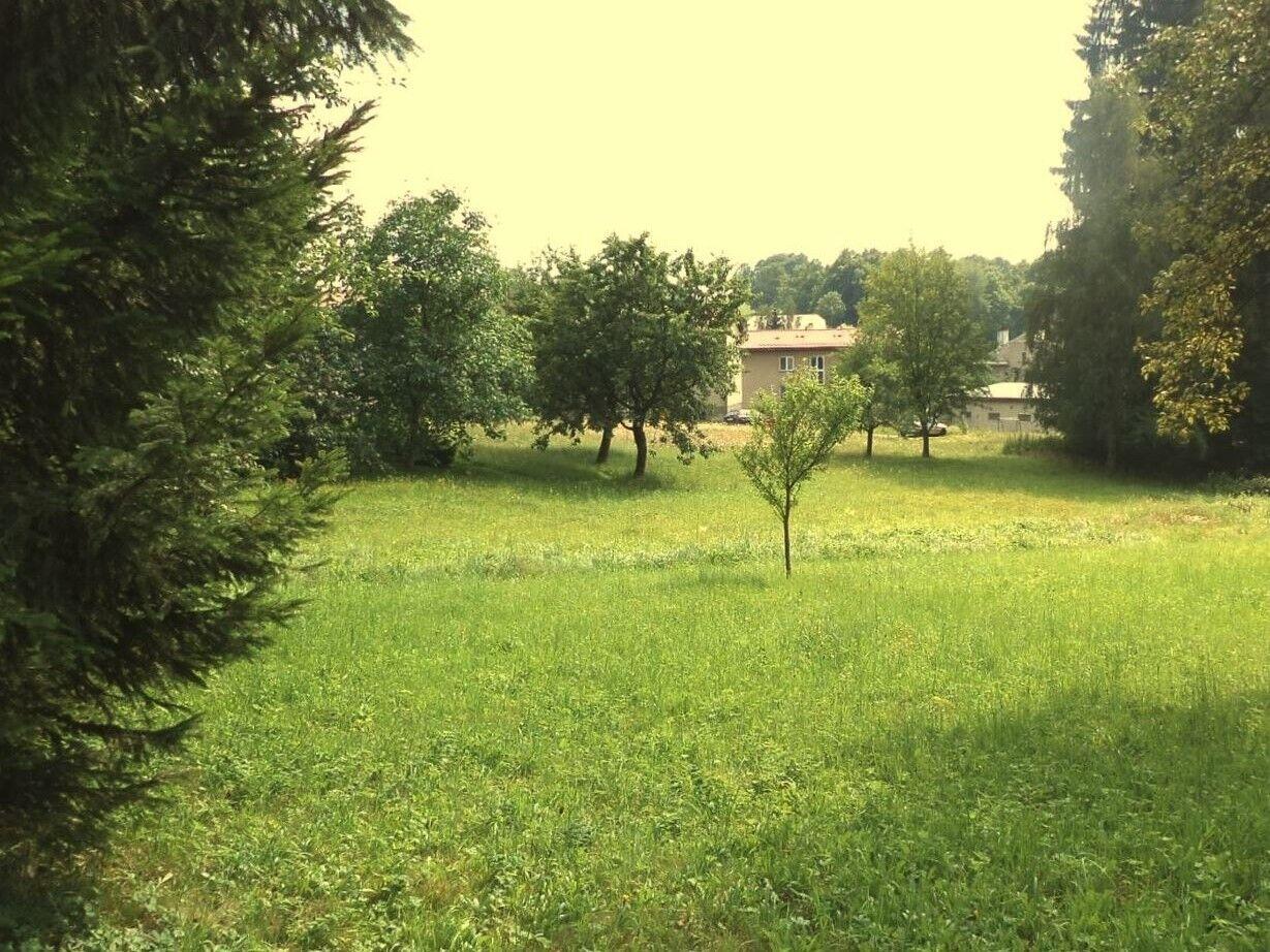 DRAŽBA pozemku Pěčín u Rychnova nad Kněžnou