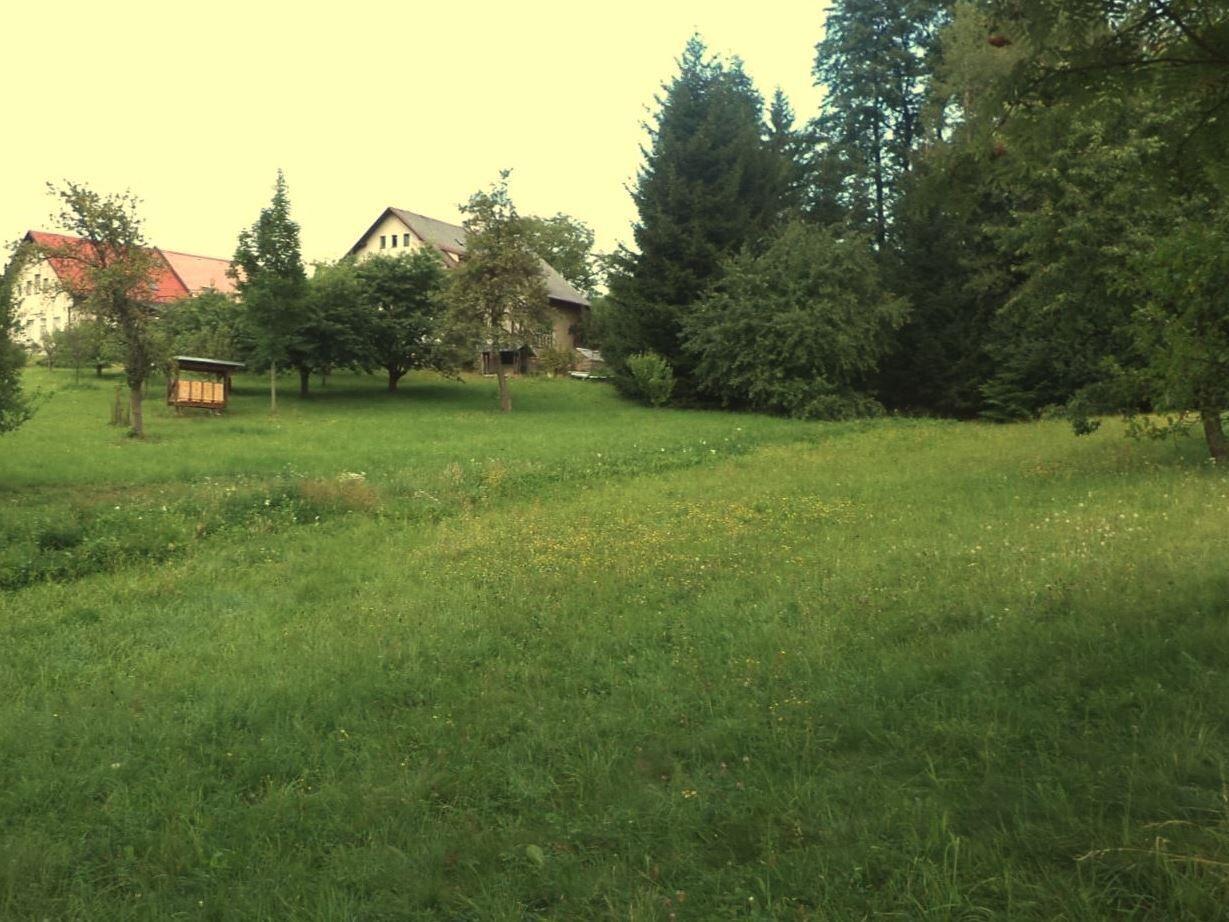 DRAŽBA pozemku Pěčín u Rychnova nad Kněžnou