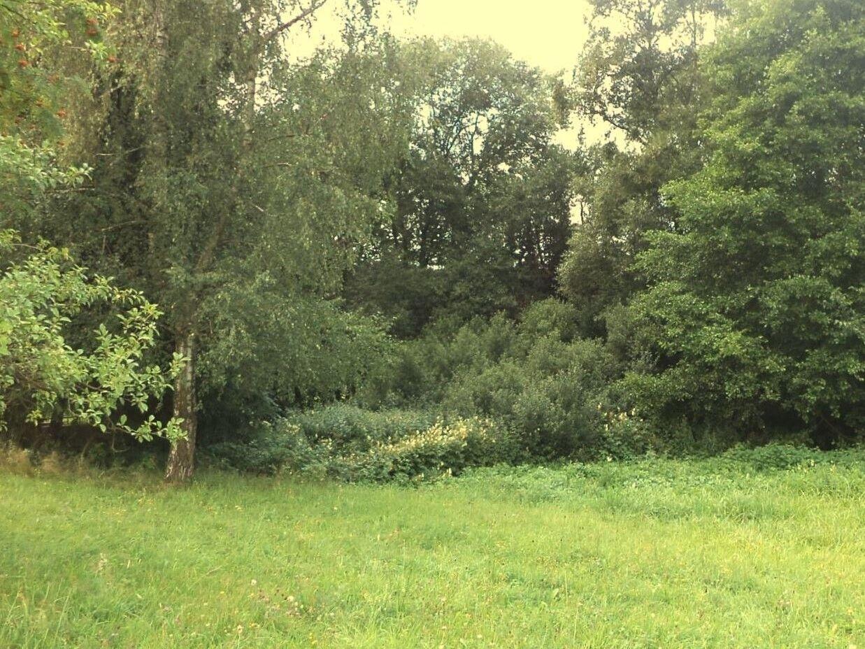 DRAŽBA pozemku Pěčín u Rychnova nad Kněžnou