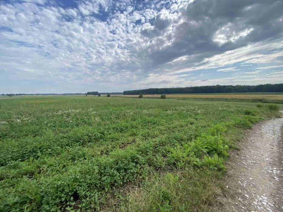 Prodej pozemků Lomnice nad Lužnicí