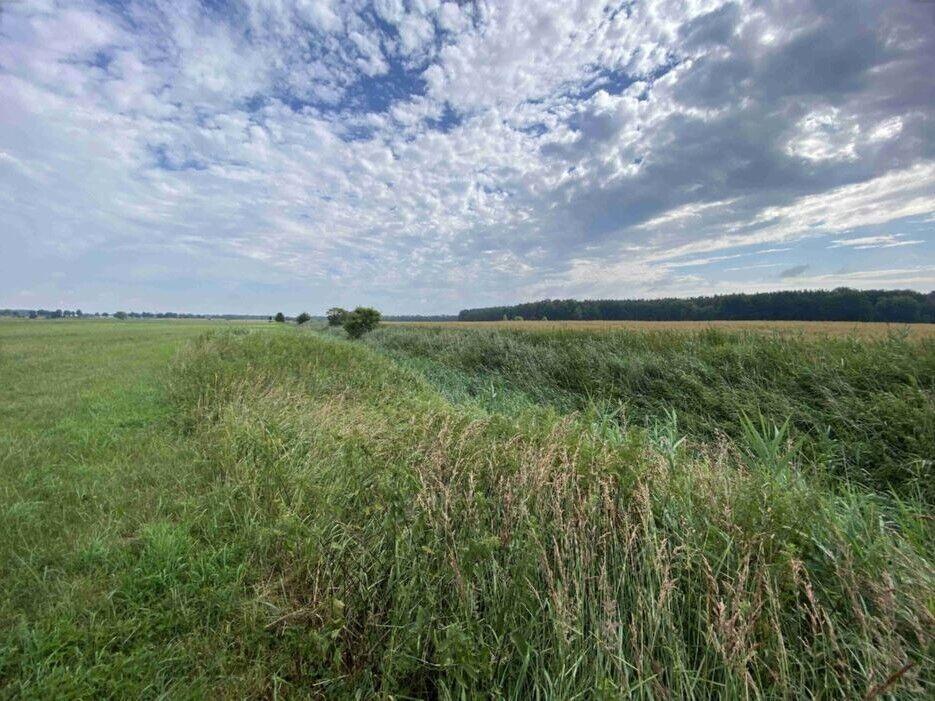 Prodej pozemků Lomnice nad Lužnicí