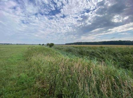 Prodej pozemku, zemědělská půda, 16 506 m²