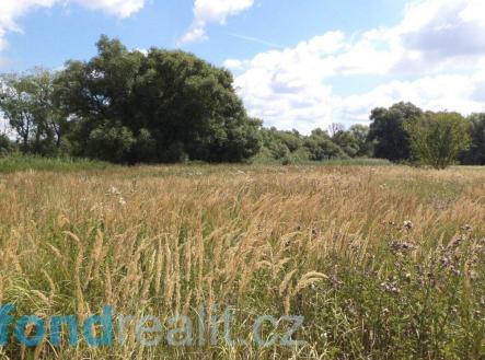 Prodej pozemku, ostatní, 2 388 m²