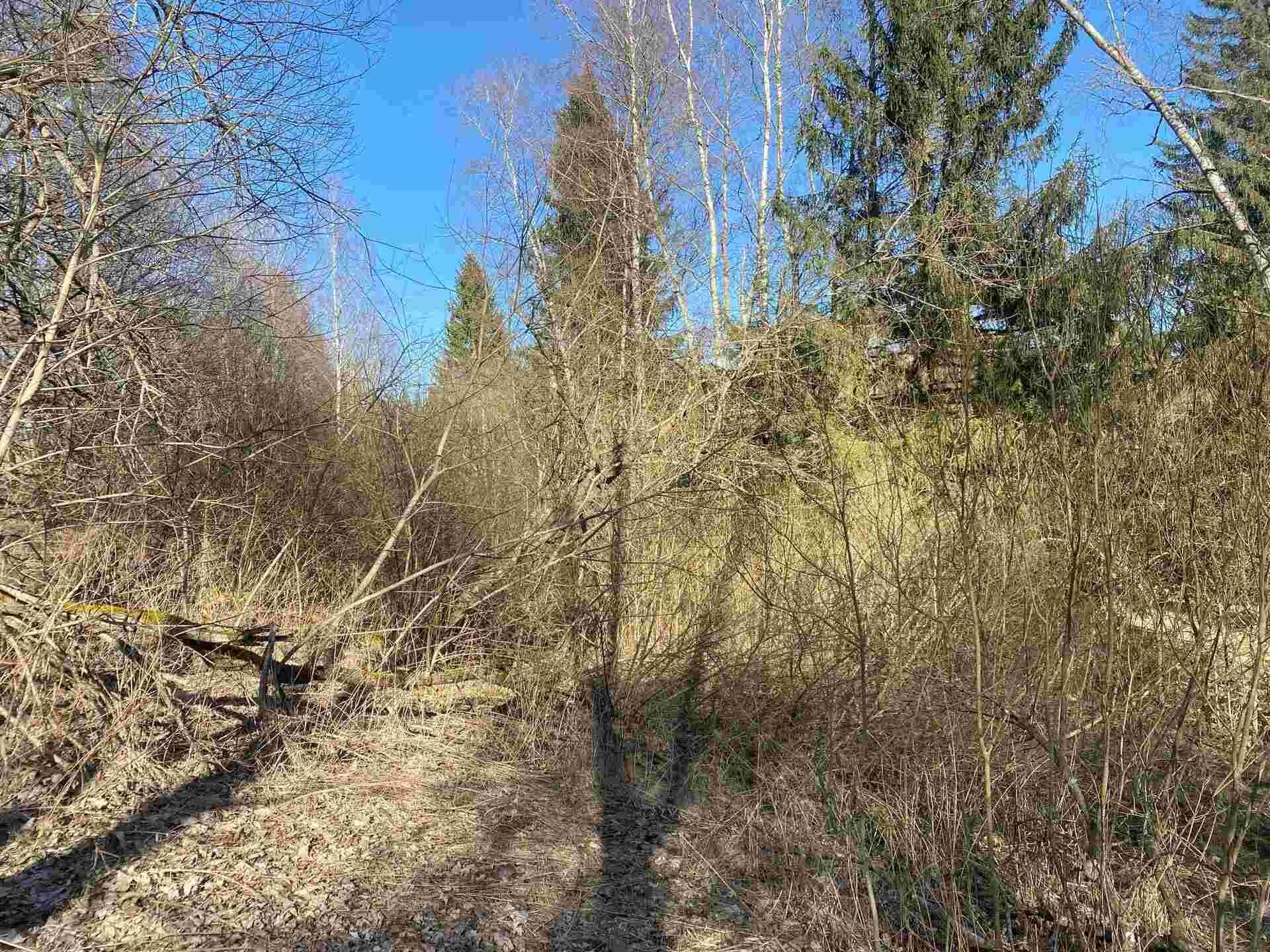 prodej pozemku Javorná na Šumavě