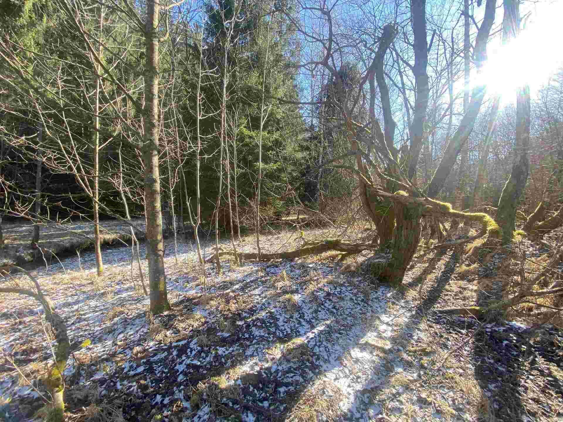 prodej pozemku Javorná na Šumavě
