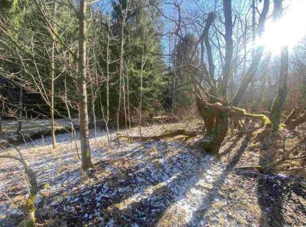 Prodej pozemku, ostatní, 10 377 m²