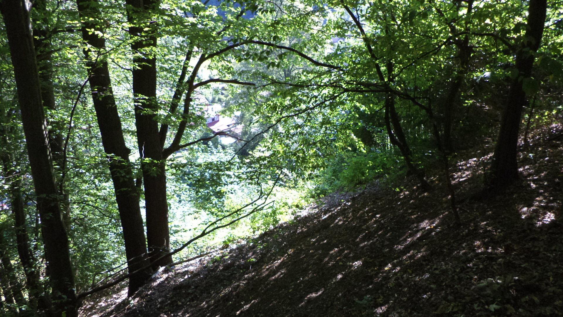 dražba pozemku Bělá u Děčína