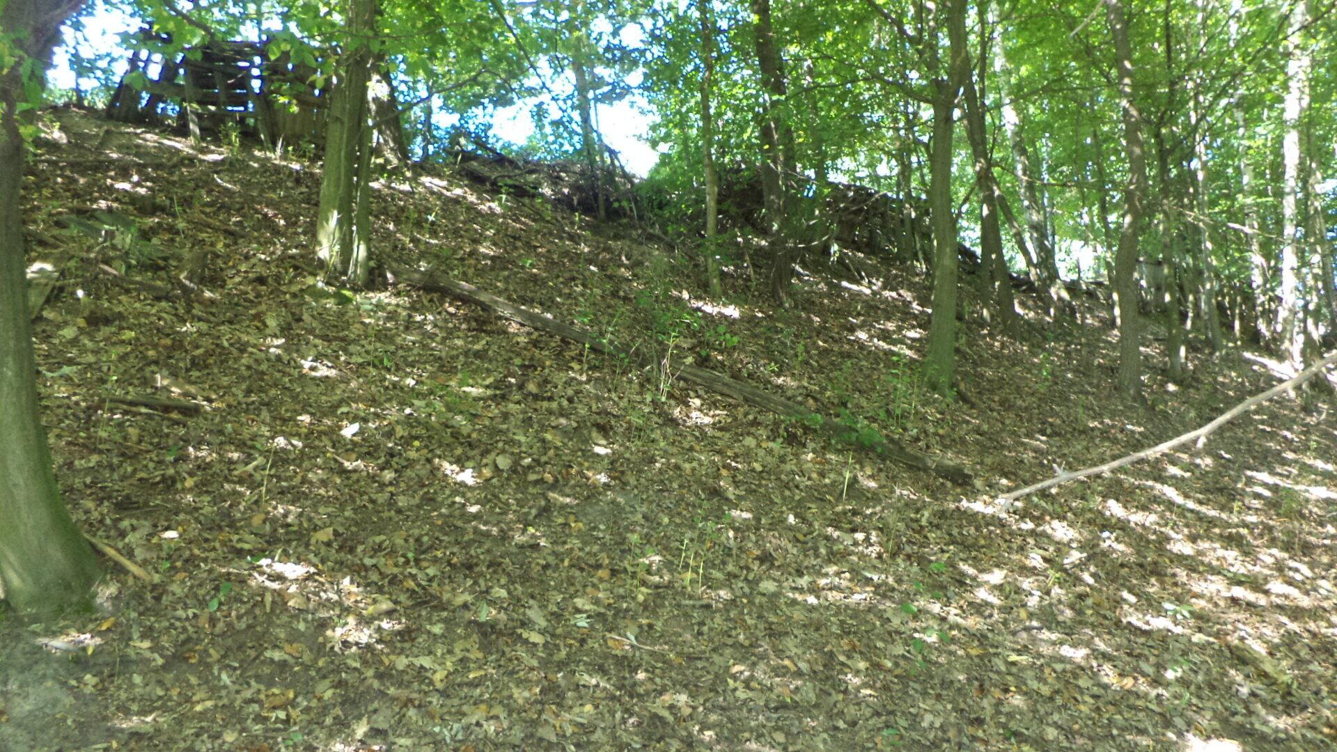 dražba pozemku Bělá u Děčína