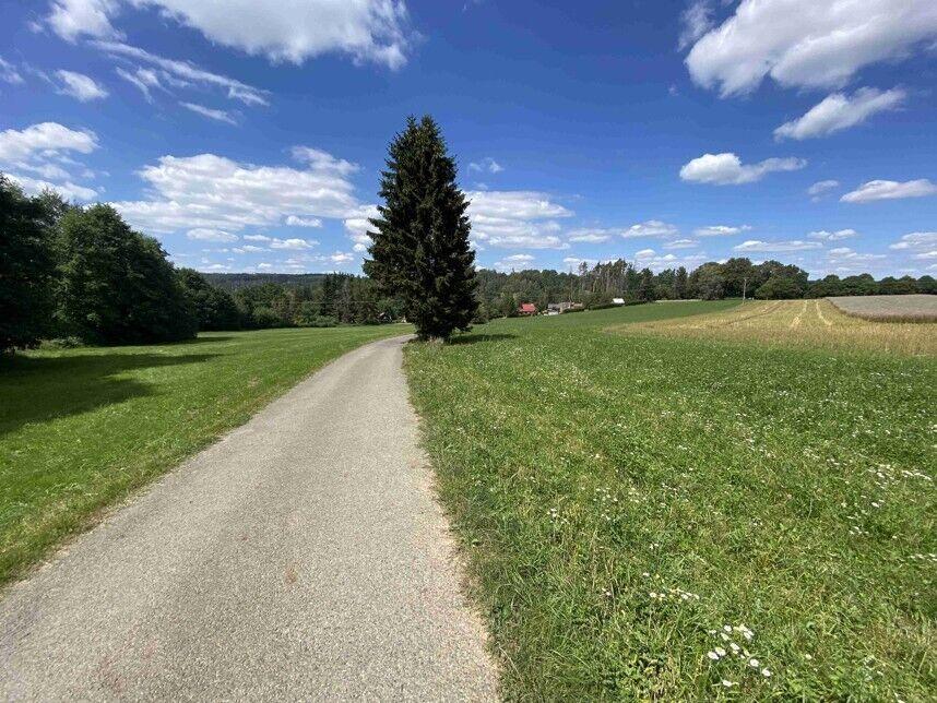 Prodej pezemku Boňkov