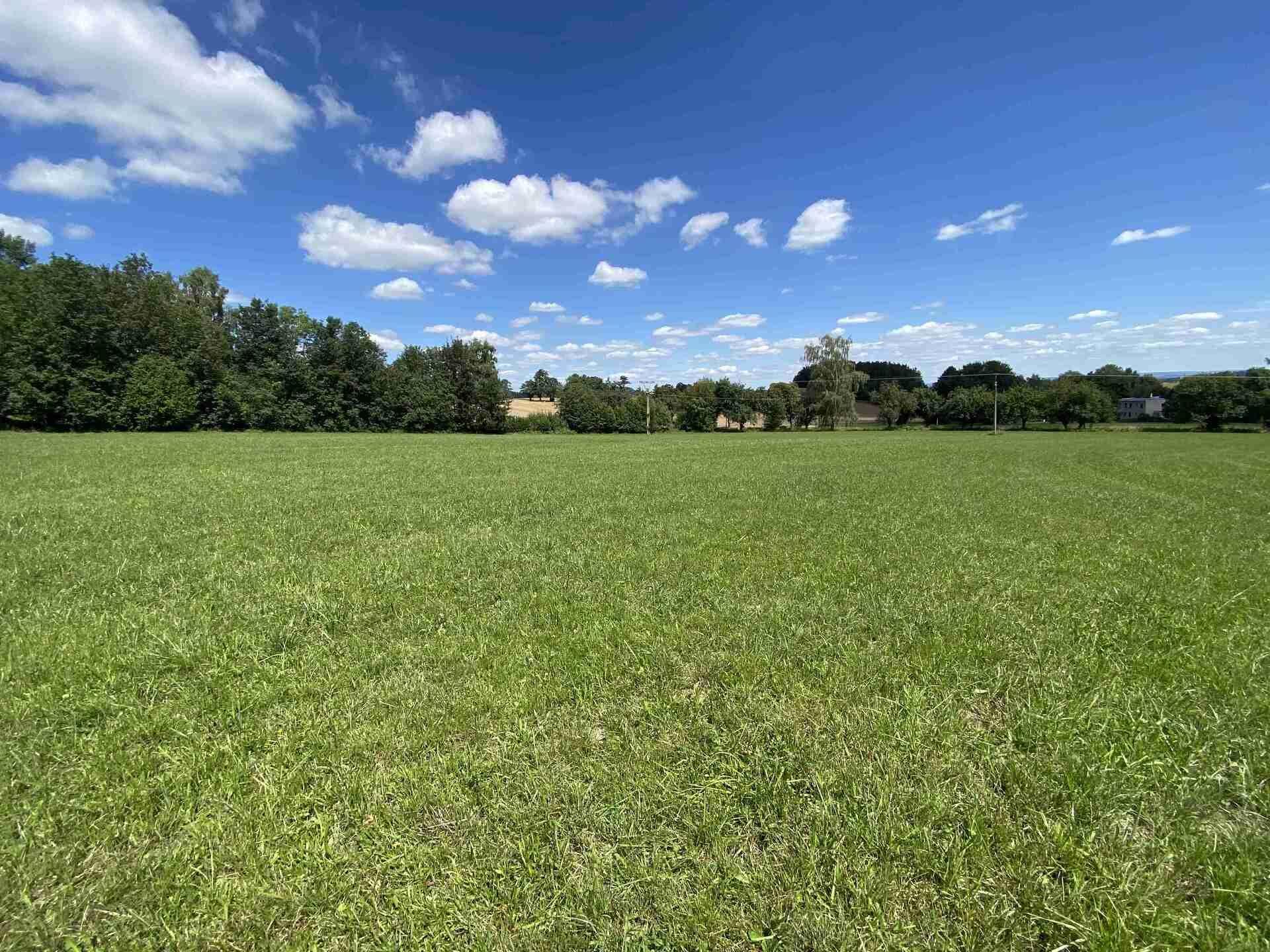 Prodej pezemku Boňkov