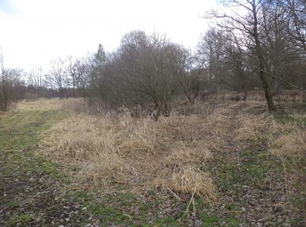 Prodej pozemku, ostatní, 6 591 m²