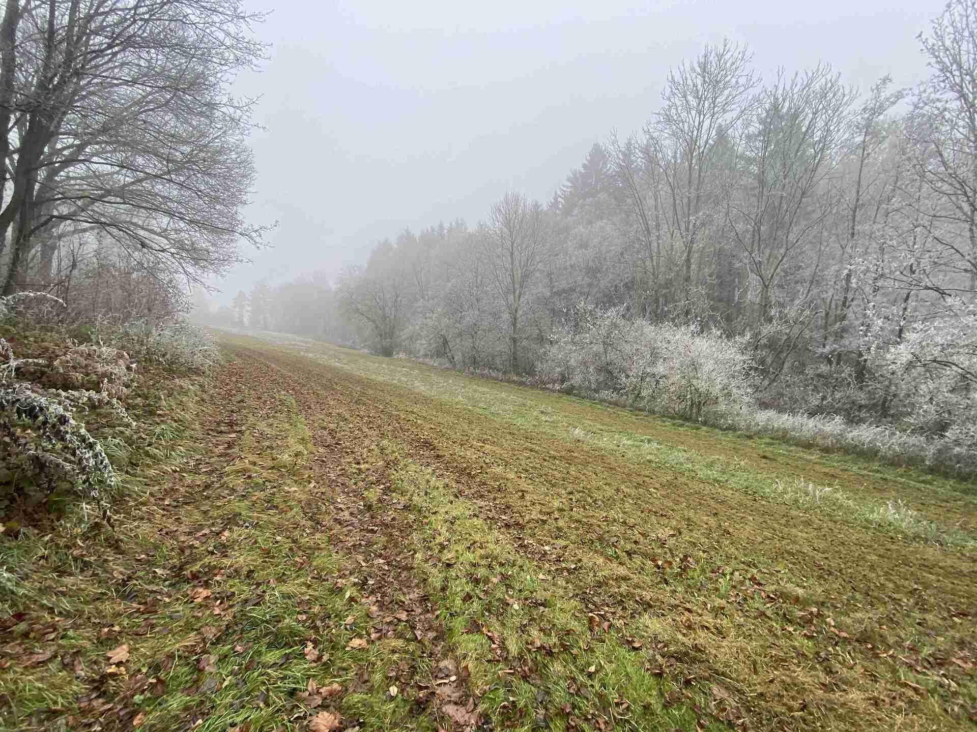 Dražba pozemku Krsmol