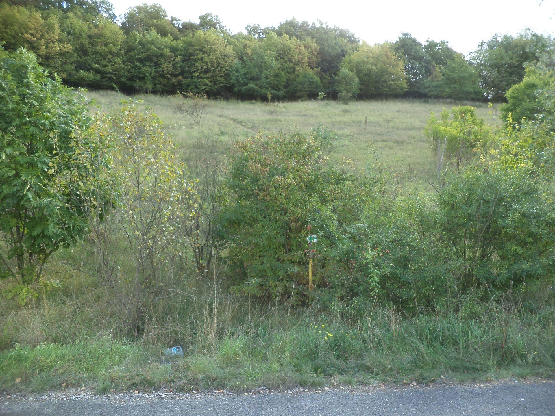 prodej pozemku k.ú. Stadice