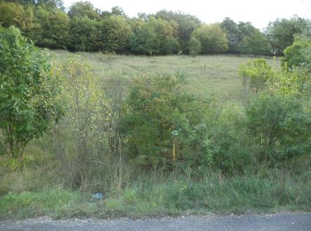 Prodej pozemku, zemědělská půda, 1 038 m²